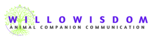 willowisdom logo